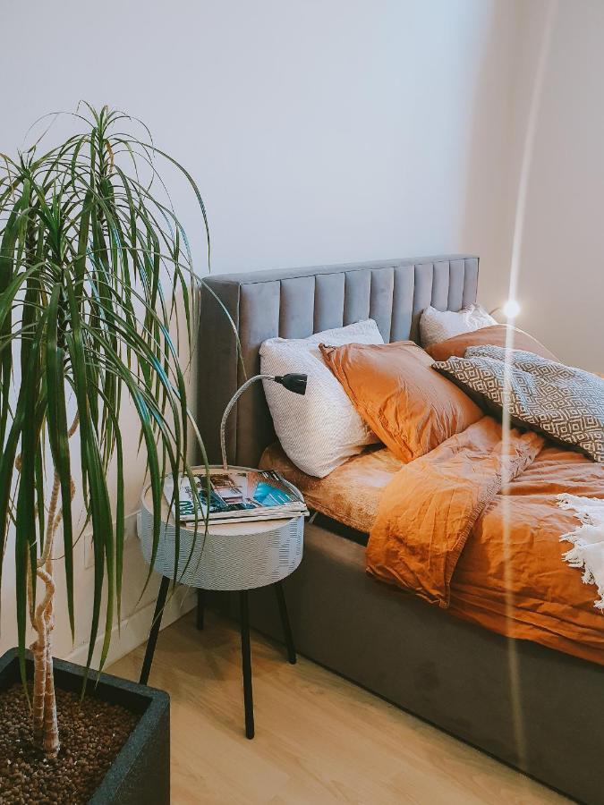 Priestranny Apartman V Centre كَشّا المظهر الخارجي الصورة